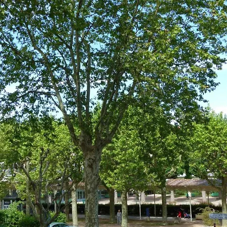 Elegant Et Confortable Au Coeur De Vichy, Pres De L'opera Et Des Parcs Napoleon Iii - Fr-1-489-303 Apartment *